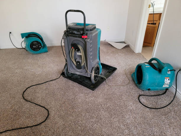 Best Local water damage restoration  in Schlusser, PA