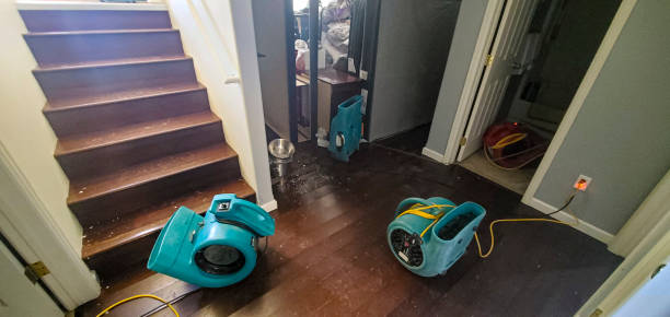 Best 24/7 water damage repair  in Schlusser, PA