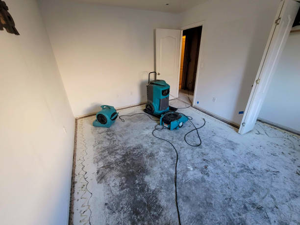 Best Basement water damage restoration  in Schlusser, PA