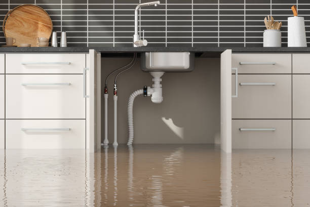 Best Sewage cleanup and water damage restoration  in Schlusser, PA