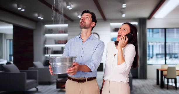 Best Flooded house restoration  in Schlusser, PA